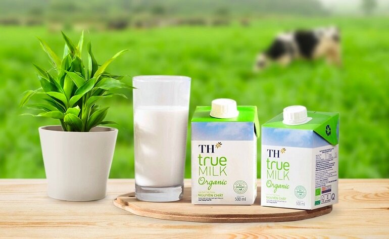 Sữa tươi hữu cơ TH True Milk Organic giàu dưỡng chất - Mèo con có uống được sữa Th True Milk không?