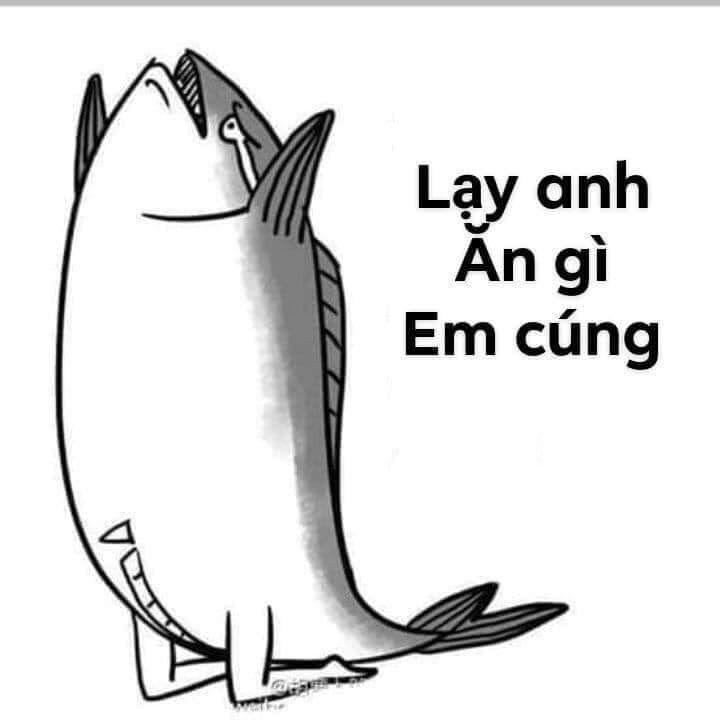 Ghim của Hương Trịnh trên meme | Meme, Ems