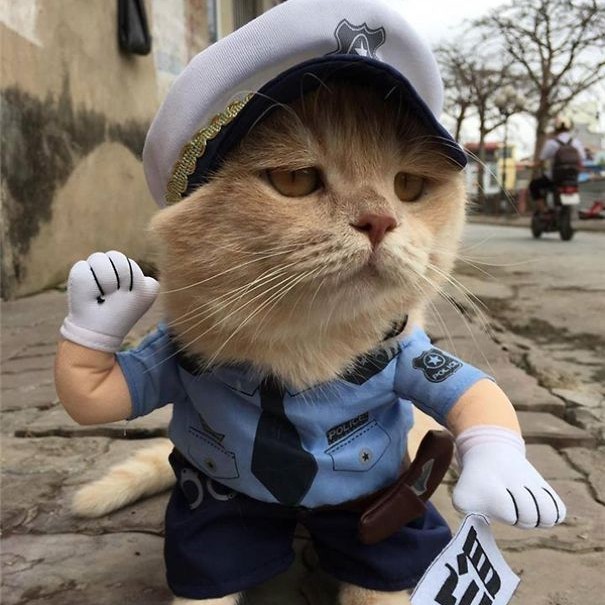 Áo chó mèo cosplay cảnh sát giao thông A53 | Shopee Việt Nam
