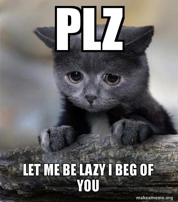 plz let me be lazy i beg of you - Confession Cat | Make a Meme