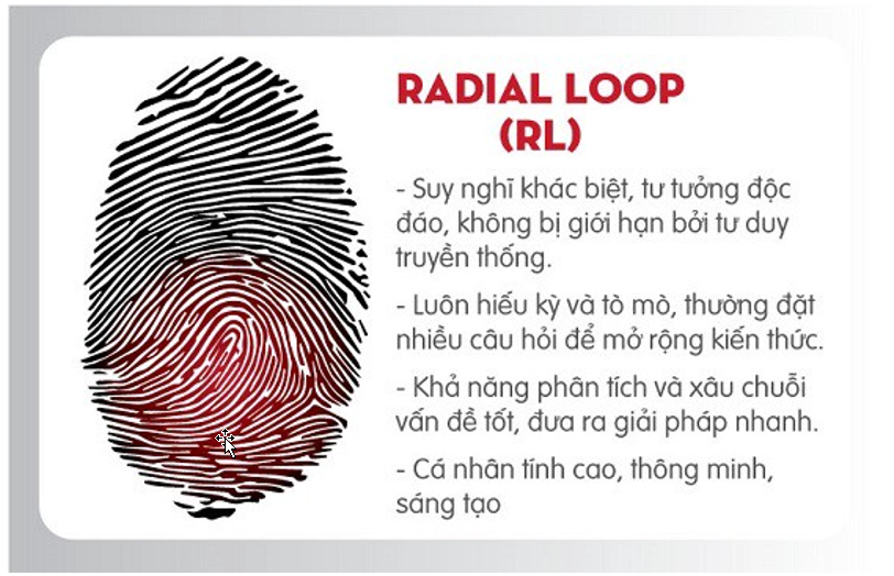 Chủng vân tay Radial Loop (Nước ngược) – Quái nhân tạo ra những điều khác biệt - CANWEDO