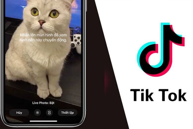 Cách lưu Video Tiktok khi không có nút lưu iOS, Android, PC